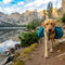 Pet Outdoor Supplies
