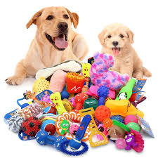 Collection image for: Pet Toys