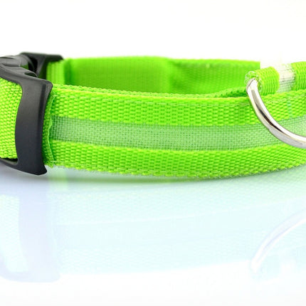 Nylon LED Pet Dog Luminous Collar