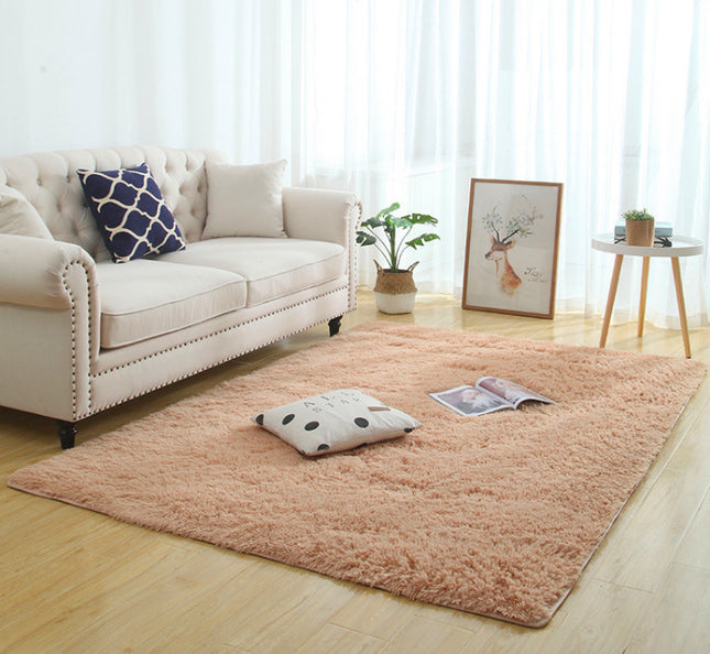 Modern Long Plush Carpet
