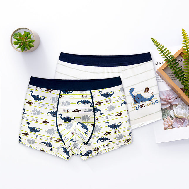 Boy's Underwear Boxer For Children