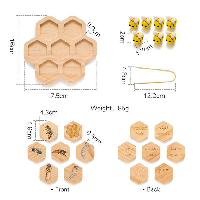 Montessori Science Teaching Aids Bee Toys