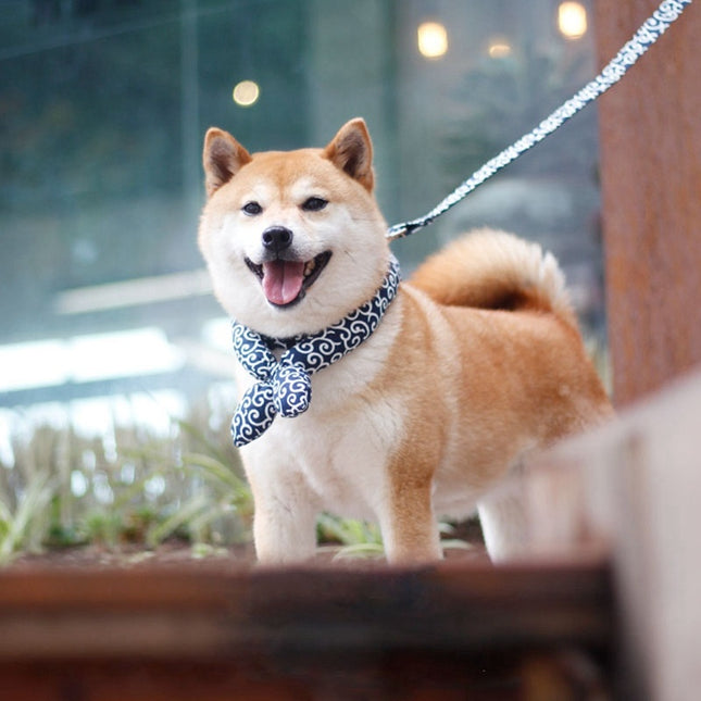 Japanese Pet Turban Collar