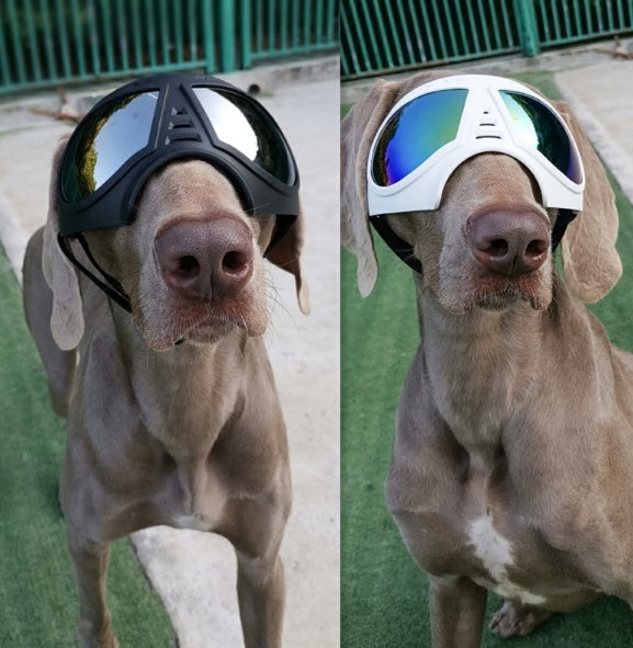 Waterproof Dog Glasses