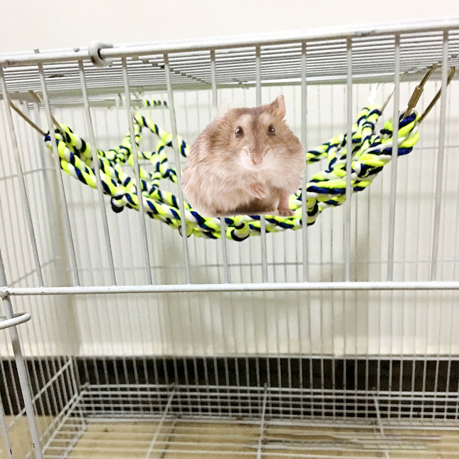 Parrot climbing neta