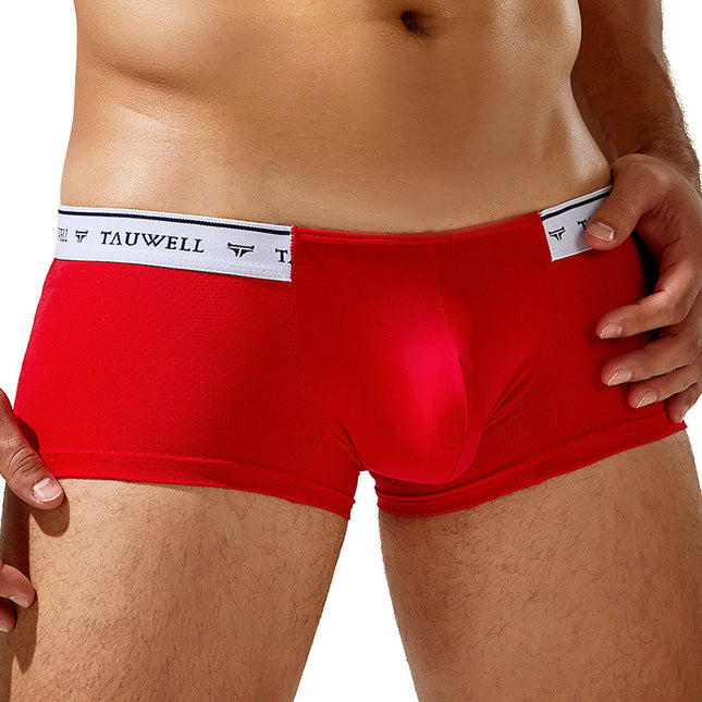 U-Shaped Mesh Boxers