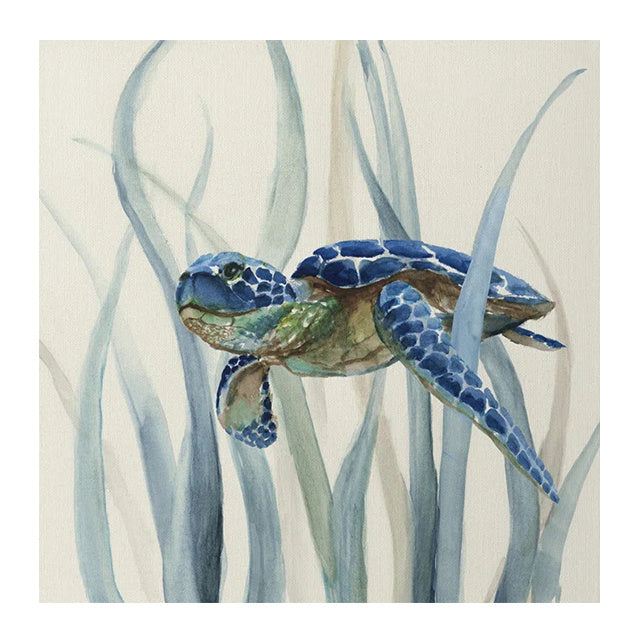 Turtle Painting Wall Art Poster