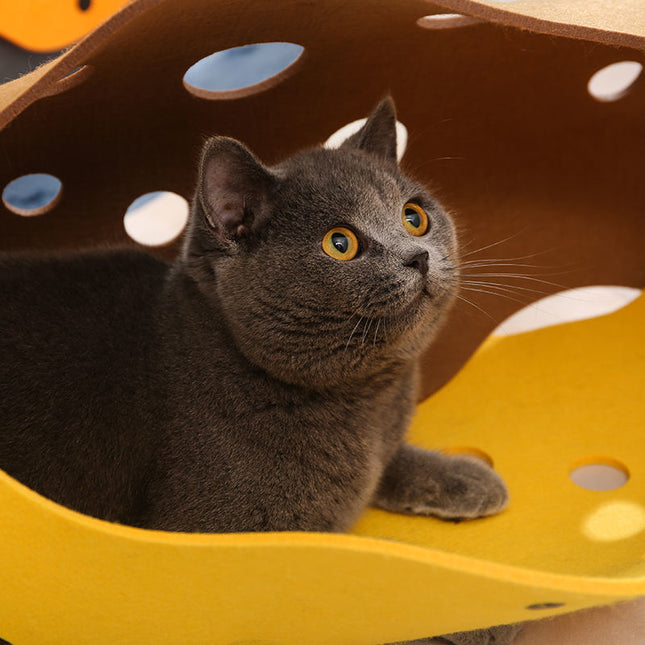 Nid pour chat à forme changeante, tunnel roulant en feutre Totoro