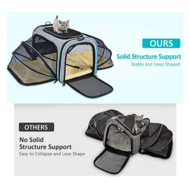 Carrier For Cat
