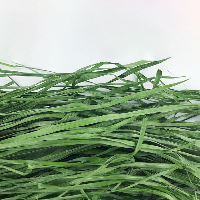 Dried Timothy FCL Hay Snacks