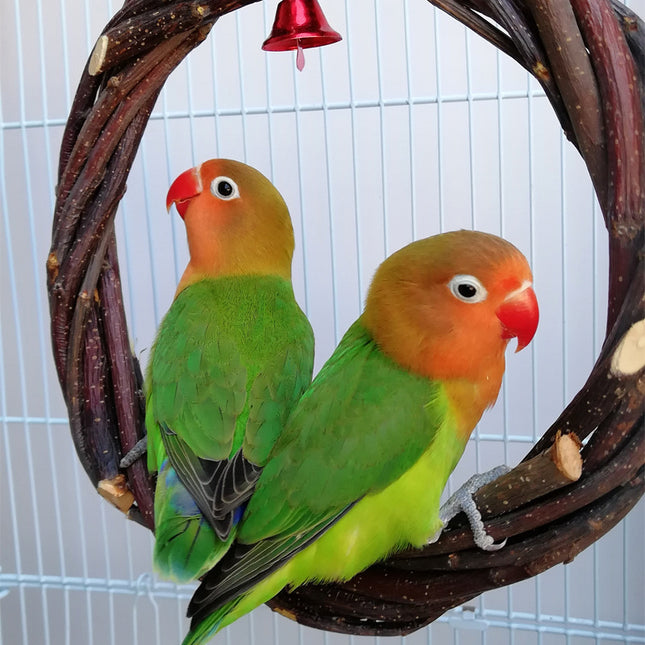 Bird Standing Frame Rattan Ring Chewing Toy